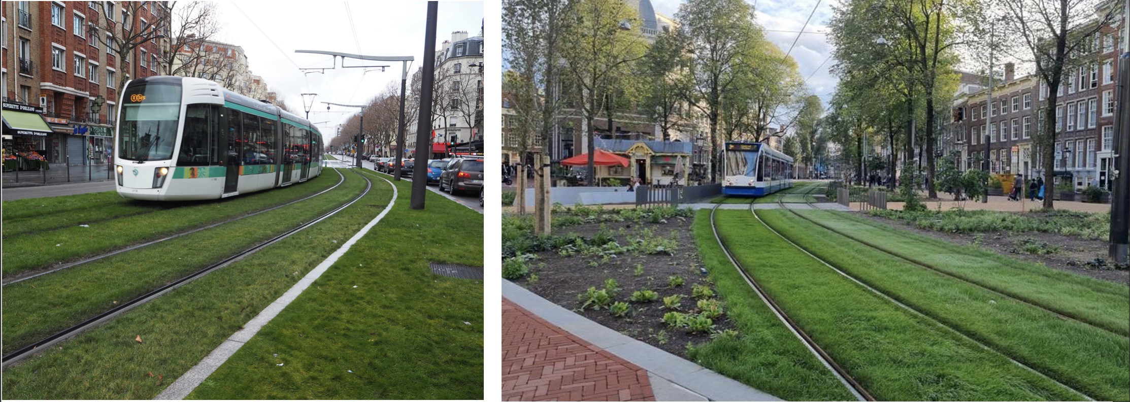 Side-by-side comparison of green-track trams in Paris and Amsterdam